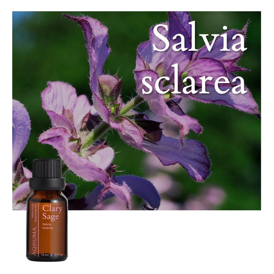 Clary Sage 100% Pure Essential Oil - 15ml