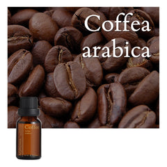 Coffee 100% Pure Essential Oil - 15ml