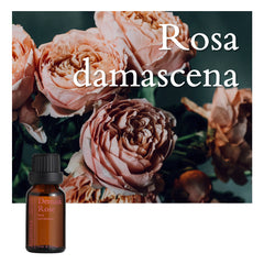 Demask Rose Essential Oil - 15ml
