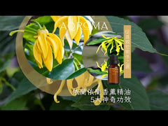 Ylang Ylang 100% Pure Essential Oil - 15ml